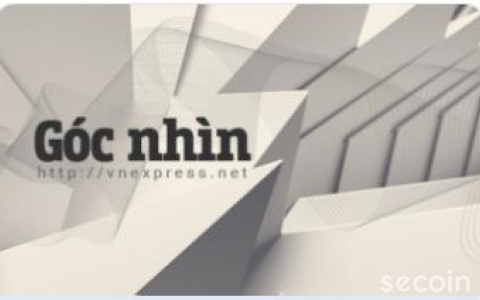 Tầm nhìn giải cứu (VnExpress)- Đinh Hồng Kỳ